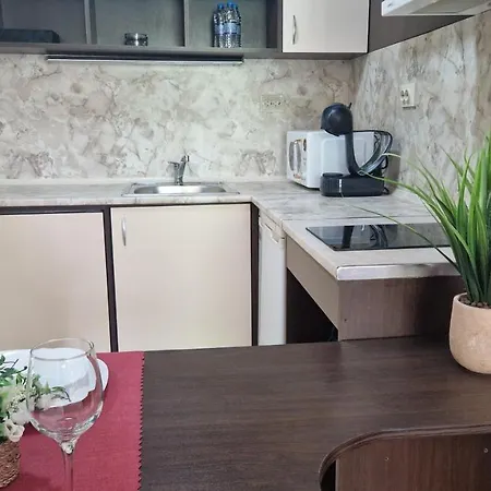 Apartment Sun Palace