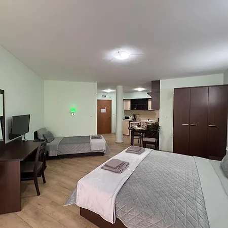 Sun Palace Apartment *